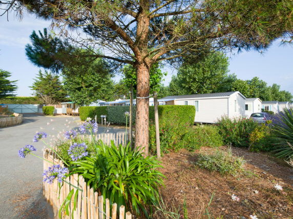 Yelloh! Village La Pomme de Pin - photo 2
