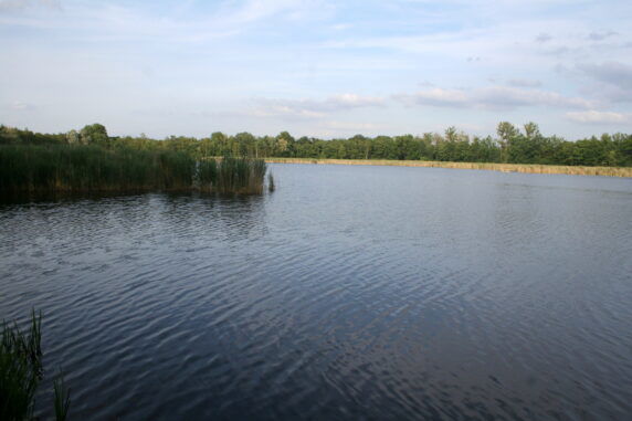 Campina Strand - photo 4