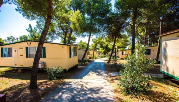 Camping Arena Indije - photo 9