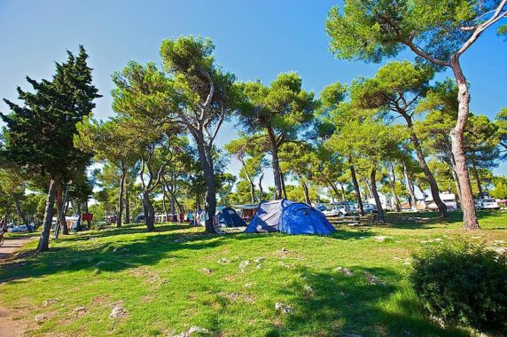 Camping Arena Indije - photo 5