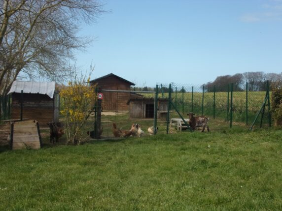 Camping des Pommiers - photo 8