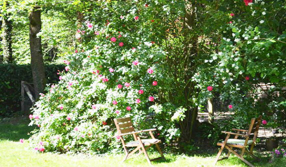 Camping du Bois de Beaumard - photo 6