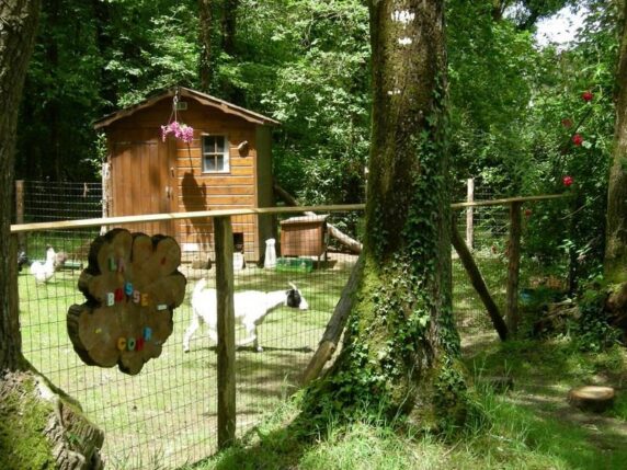 Camping du Bois de Beaumard - photo 3