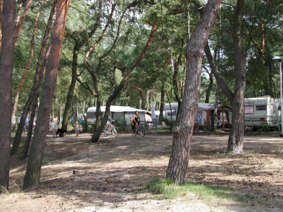 Provinciaal Recreatiedomein Zilvermeer - photo 1