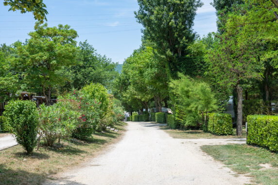 Camping Porte de Provence - photo 20