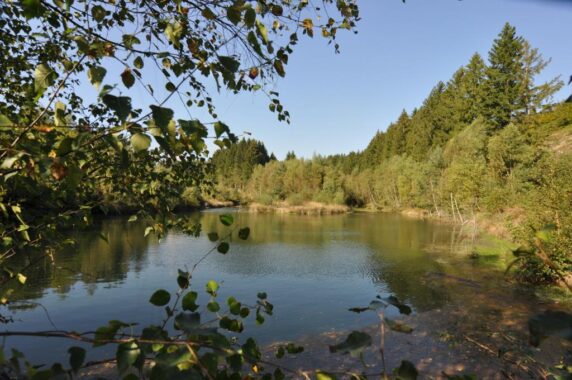 Camping Floreal Gossaimont - photo 7