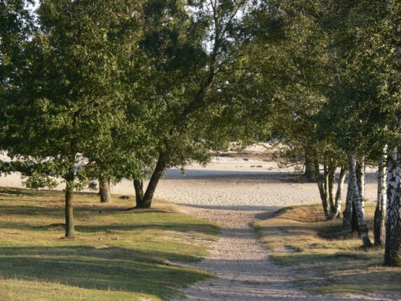 Camping Alkenhaer - photo 6