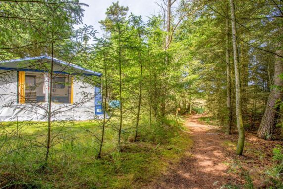 Guldager Camping - photo 11