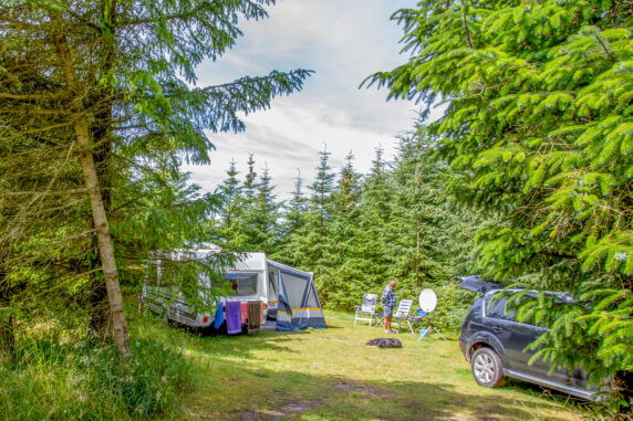 Guldager Camping - photo 1