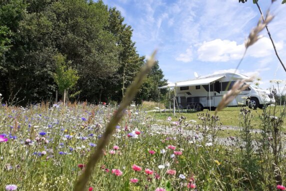 Campingplatz Hof Biggen - photo 2