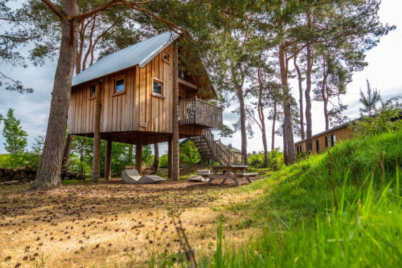 EuroParcs De Wije Werelt - photo 11