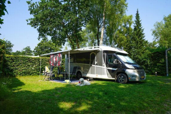 EuroParcs De Wije Werelt - photo 3