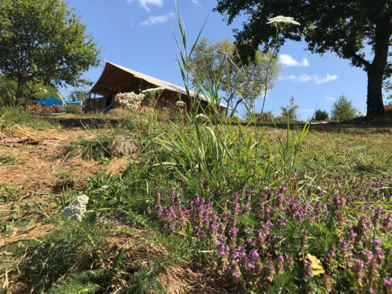 Junora camping & glamping eco-logique - photo 1