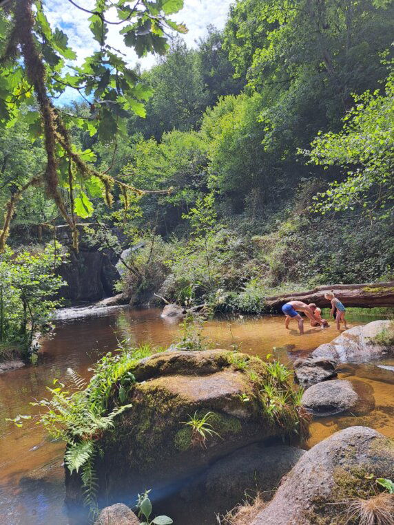 Camping & glamping Junora - photo 6