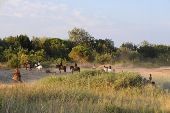 Camping Argelès Sur Mer &#8211; Heger Loisirs - photo 14