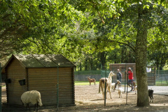 Camping Bidart &#8211; Heger Loisirs - photo 15