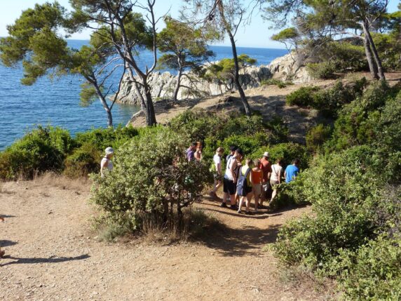 Camping La Presqu&#8217;ile De Giens - photo 29