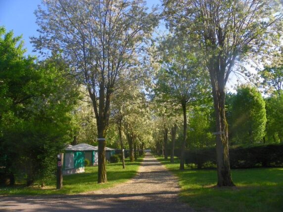Camping Le Rocher De La Granelle - photo 6