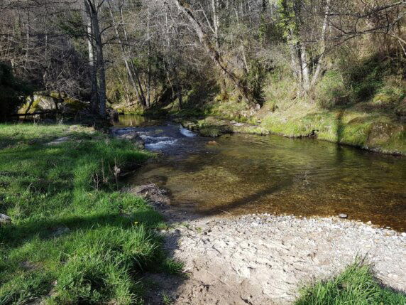 Camping Les Pins D&#8217;ucel - photo 2