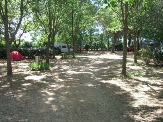 Flower Camping Le Fou Du Roi - photo 2