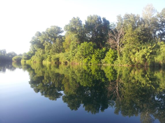 Camping Bellerive - photo 11