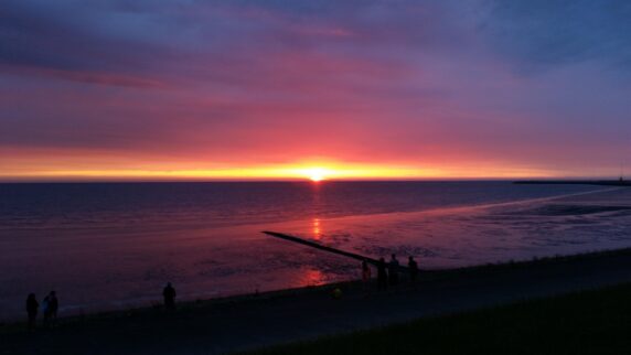 Camping De Zeehoeve - photo 14