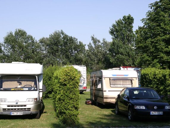 Aktiv Camping Neue Donau - photo 2