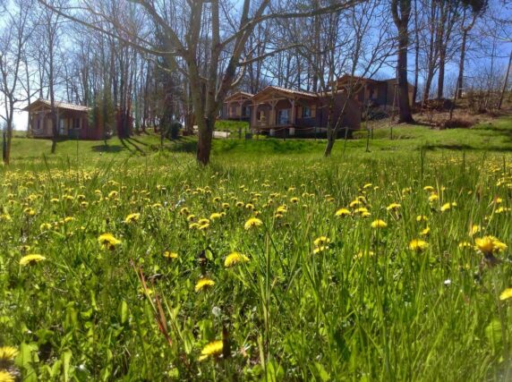 Les Chalets Du Bois De La Pause - photo 3