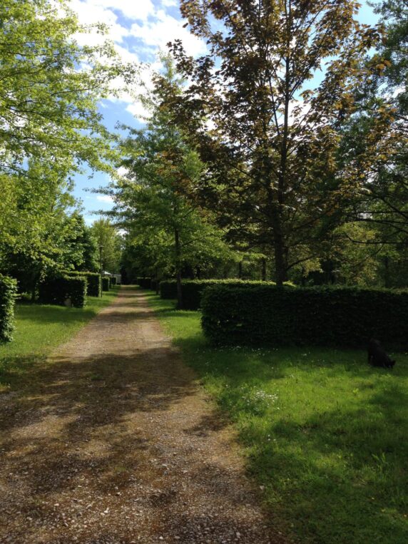 Camping De Mépillat - photo 14