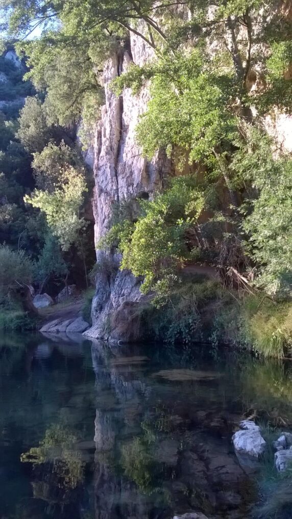 Domaine Le Clos Des Capitelles - photo 18