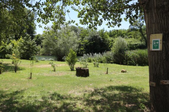Camping La Plage (Saint-André-de-Roquepertuis) - photo 12