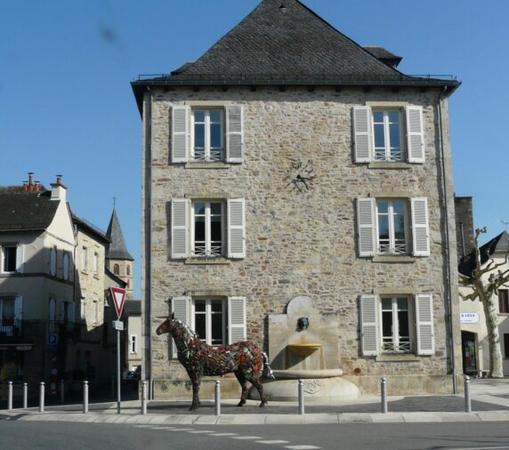 Photo 19