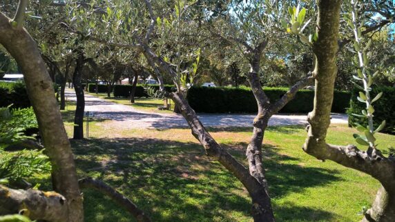 Camping Des Favards - photo 11