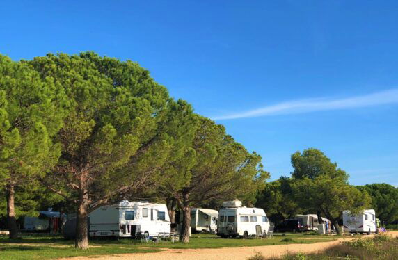 Camping Vransko Jezero Crkvine - photo 5