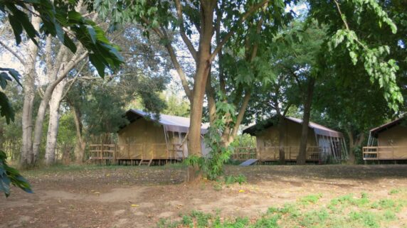 Camping Bellerive - photo 4