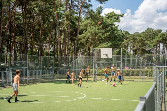 Camping Goolderheide - photo 4