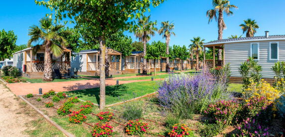 Homair El Pinar - photo 8