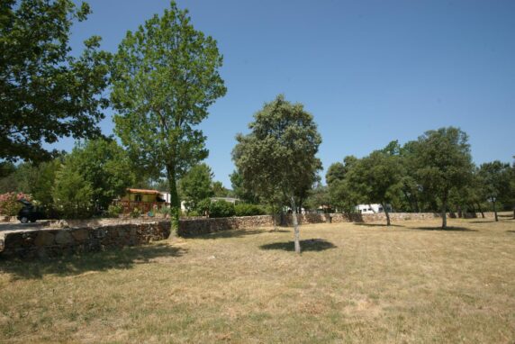 Domaine De La Cigalière - photo 4