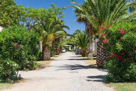 Camping l&#8217;Oasis &#038; California - photo 3