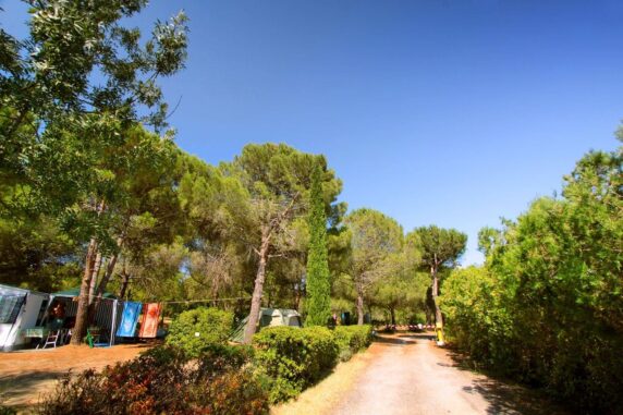 Camping Das Pinhiers - photo 8