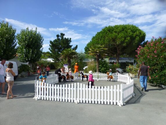 Camping La Pinède (La Faute-sur-Mer) - photo 11
