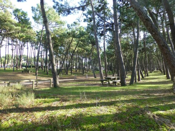 Camping La Pinède (La Faute-sur-Mer) - photo 3