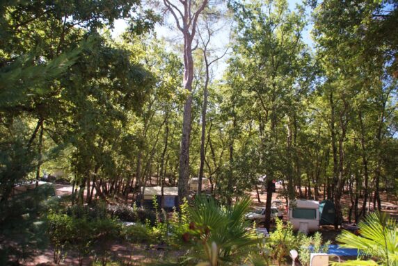 Camping Le Parc - photo 24