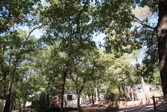 Camping Le Parc - photo 25