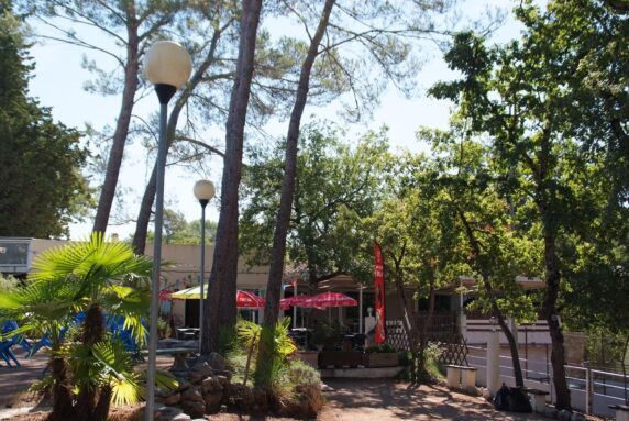 Camping Le Parc - photo 5