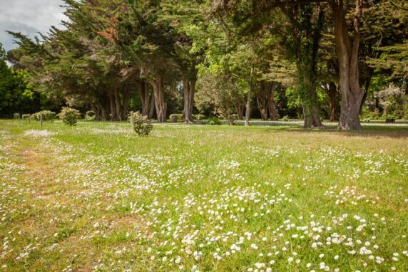 Camping Bel Essor - photo 5