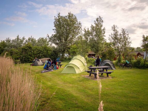 Camping De Zeehoeve - photo 1