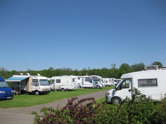 Camping De Zeehoeve - photo 4