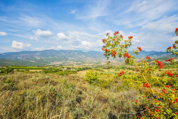 Camping Sites Et Paysages l&#8217;Orée De Provence - photo 9