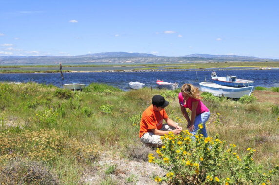 Capfun &#8211;  Camping L&#8217;ile Des Pêcheurs - photo 14